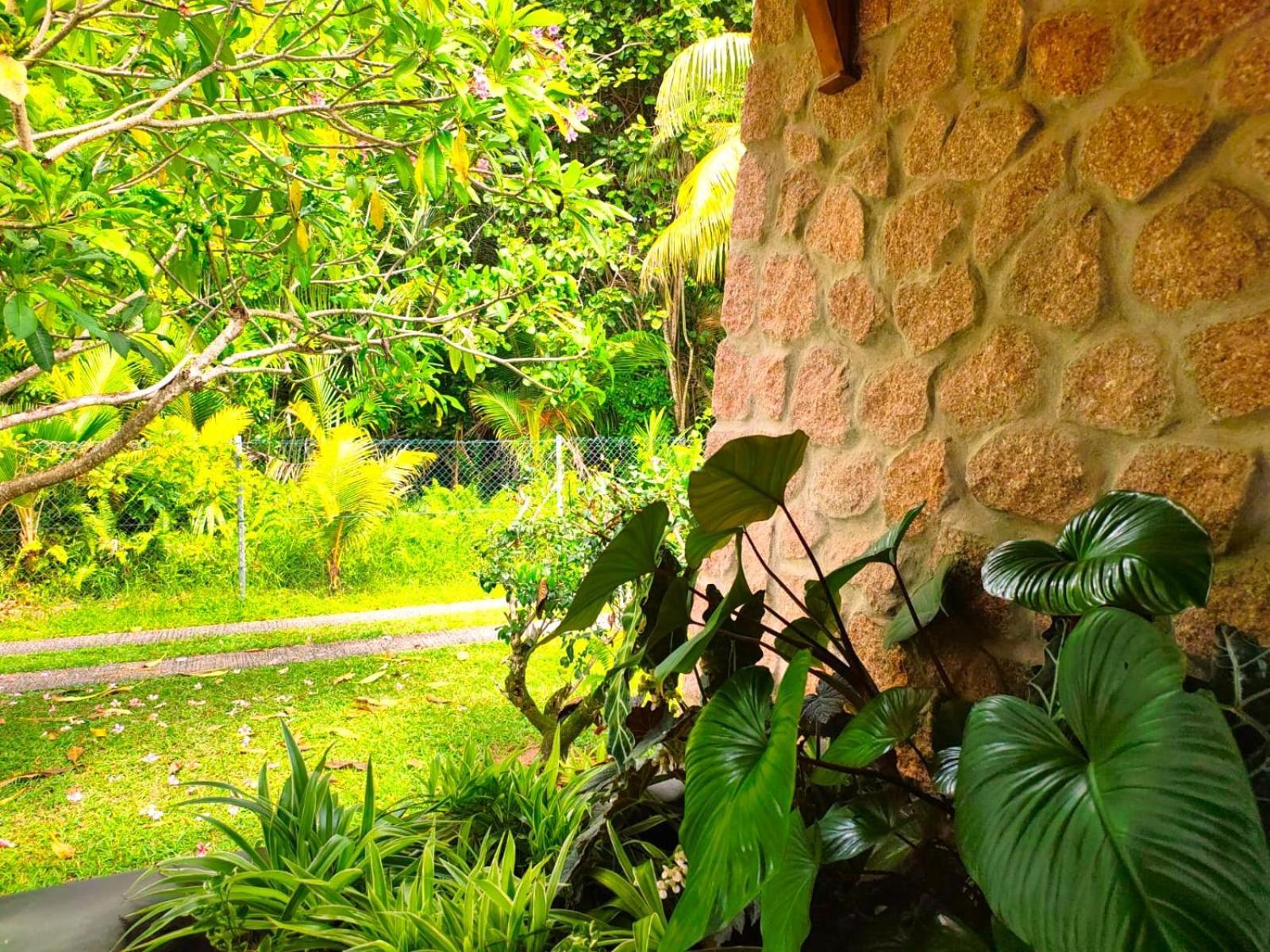 The Islander Hotel Grand Anse  Bagian luar foto